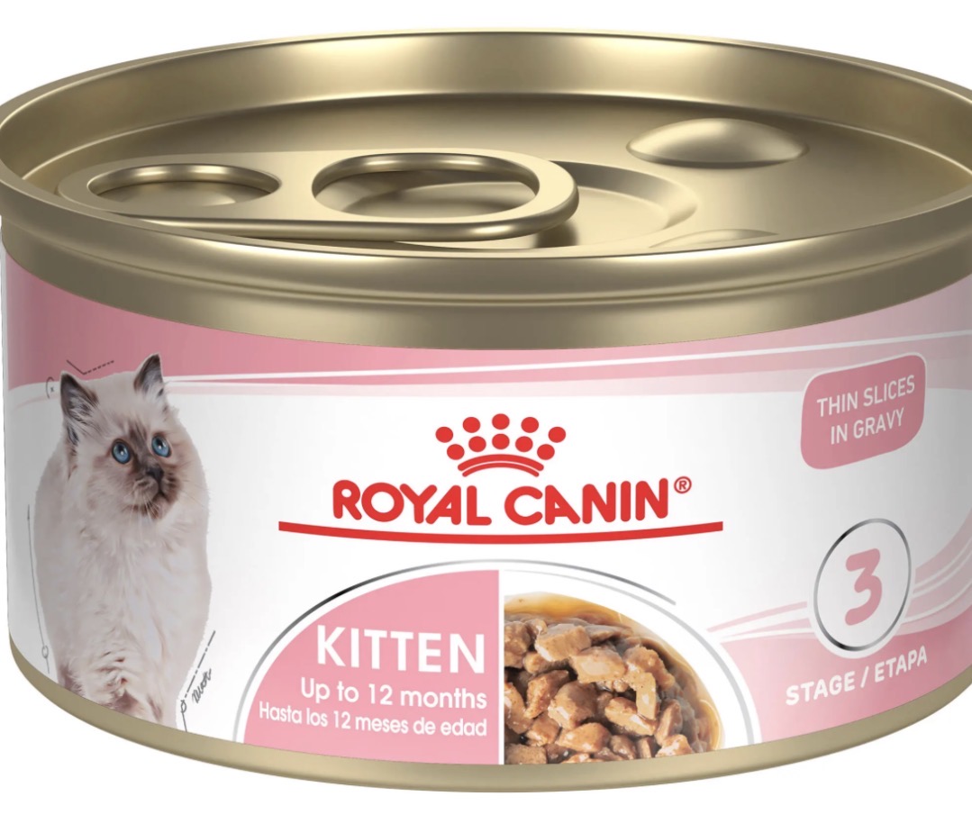 Royal Canin kitten food — dry and wet varieties